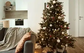 Ako zalievať živý vianočný stromček doma a prečo mu hnedne ihličie