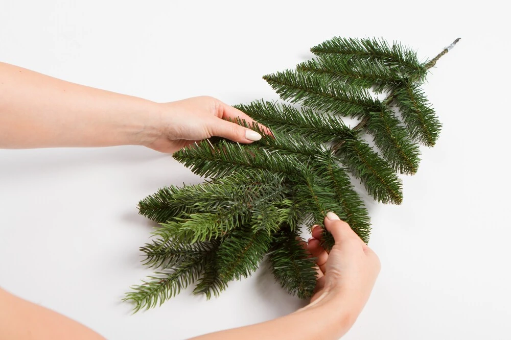 Smrek Karpatsky 100% FULL 3D XL 240 cm