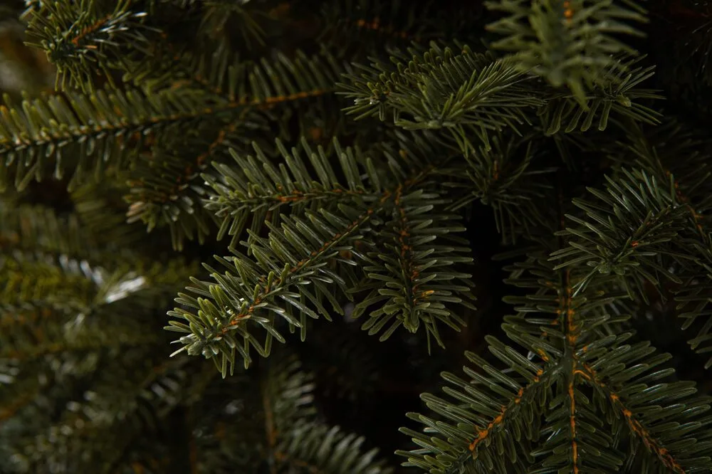 🌲 Jedľa Poloninská 3D LUX – 250 cm | Tmavozelená elegancia s realistickým 3D efektom