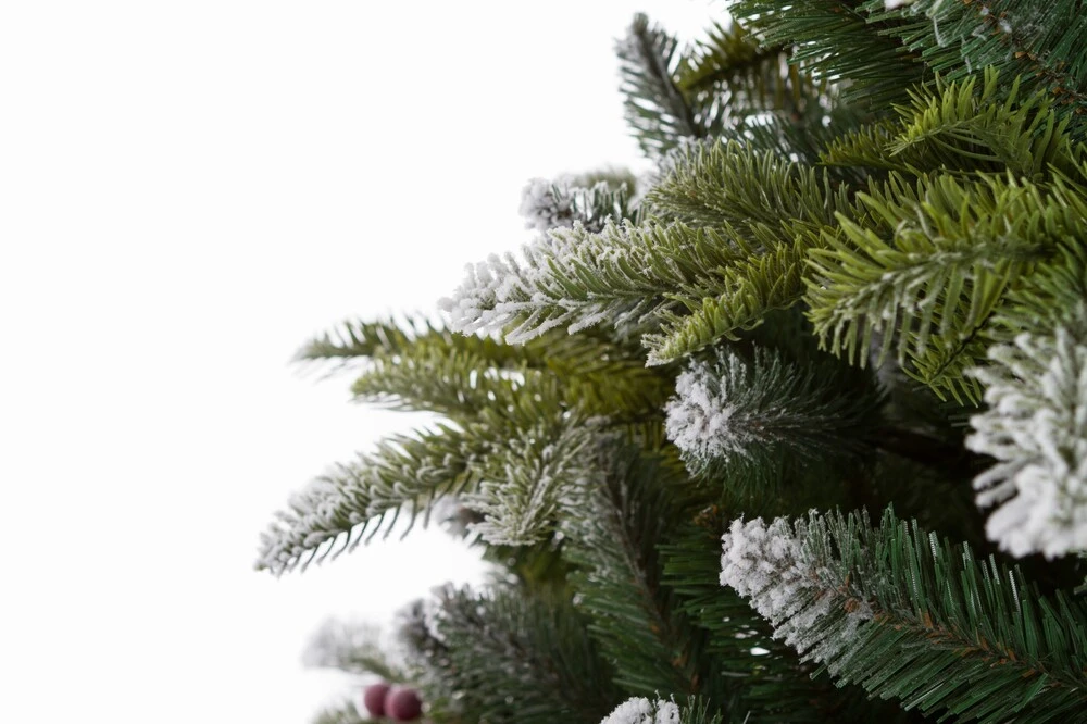 Jedľa horská zamrznutá Vianočný stromček 240 cm 