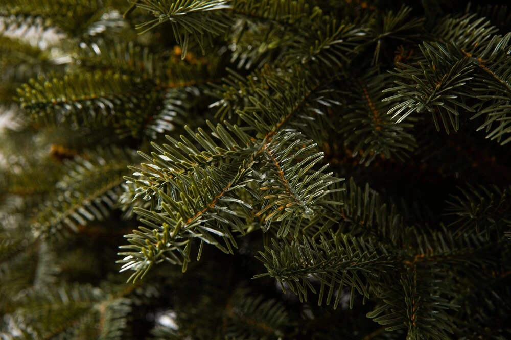 Smrek 3D Karpatský - Umelý stromček na pníku 195 cm