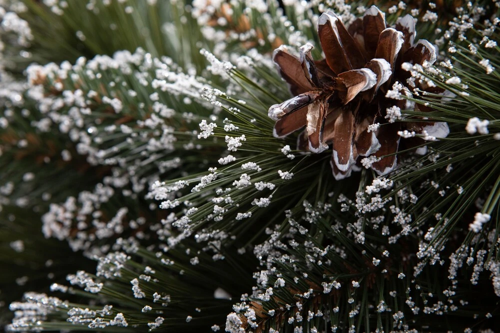 Vianočný veniec borovica zamrznutá 40 cm – Prírodný zasnežený adventný veniec