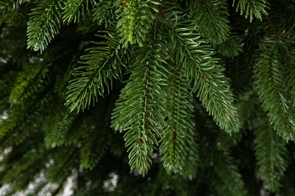 Smrek Omorikový 100% FULL 3D Vianočný stromček 220 cm