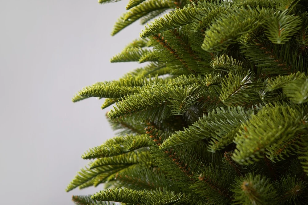 Jedľa Krkonošská LUX 3D Vianočný stromček 220 cm