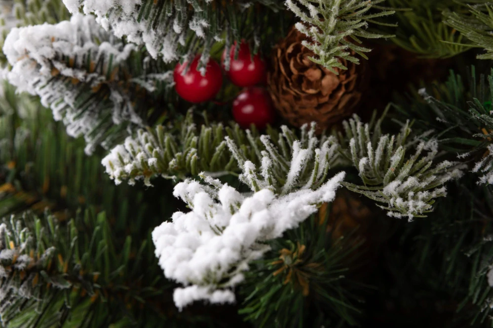 Vianočný stromček Jedľa horská zamrznutá so šiškami a ilexom 220 cm 