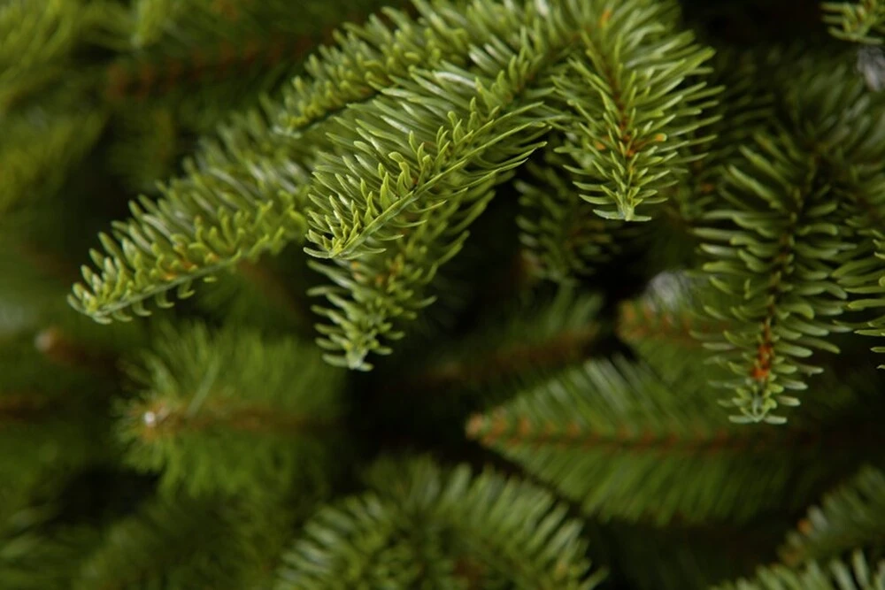 Jedľa Krkonošská LUX 3D Vianočný stromček 220 cm